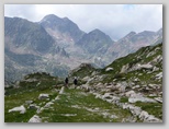 am080j015.jpg