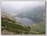 am230x6906.jpg