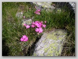 am670q079.jpg