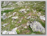 am680q082.jpg