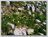 am690q083.jpg