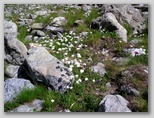 am700q084.jpg