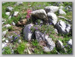 am710q086.jpg