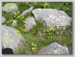am720q088.jpg