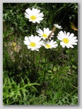 am740q090.jpg