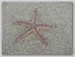 mu3_210j748.jpg