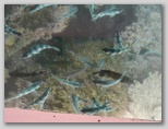 mu4_060j820.jpg