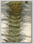 mu5_050j879.jpg