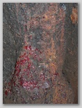 mu5_090j897.jpg