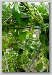 re18_080j104.jpg