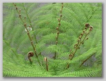 re18_120j035.jpg
