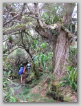 re19_120x048.jpg
