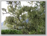 re20_150x072.jpg