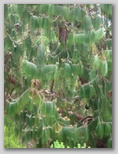 re21_100x086.jpg
