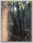 re24_010x150.jpg