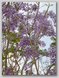 re26_110j381.jpg