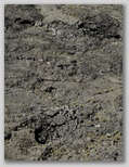 re28_110j455.jpg