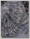 re29_050x286.jpg