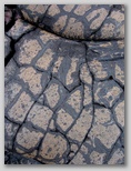 re29_070x292.jpg