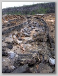 re29_160x309.jpg