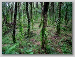 re29_190x322.jpg