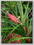 re29_230x329.jpg
