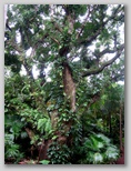 re29_310x336.jpg