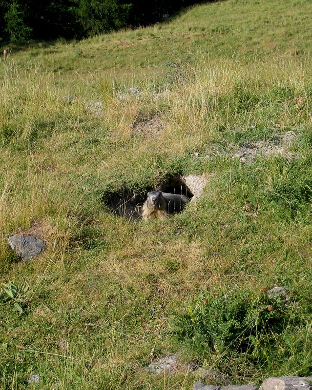 img_7660.jpg (large)