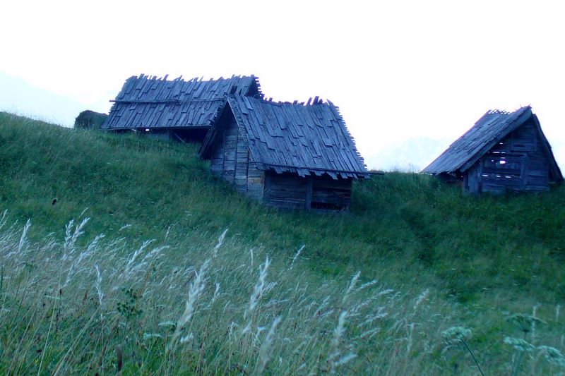 p1050078.jpg (large)