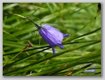 dscn7857.jpg