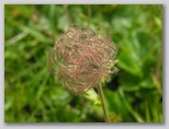 dscn7863.jpg