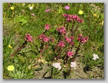 dscn7907.jpg