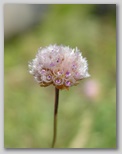 dscn7977b.jpg