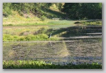 dscn8113.jpg