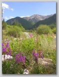 dscn8140.jpg