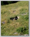 img_7660.jpg