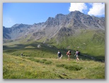 img_7663.jpg