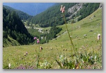img_7689.jpg
