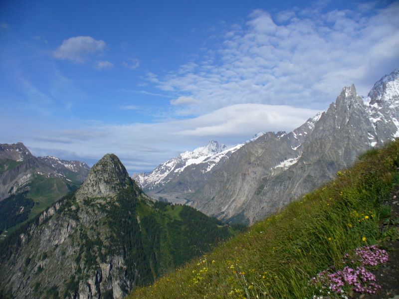 p1030731.jpg (large)