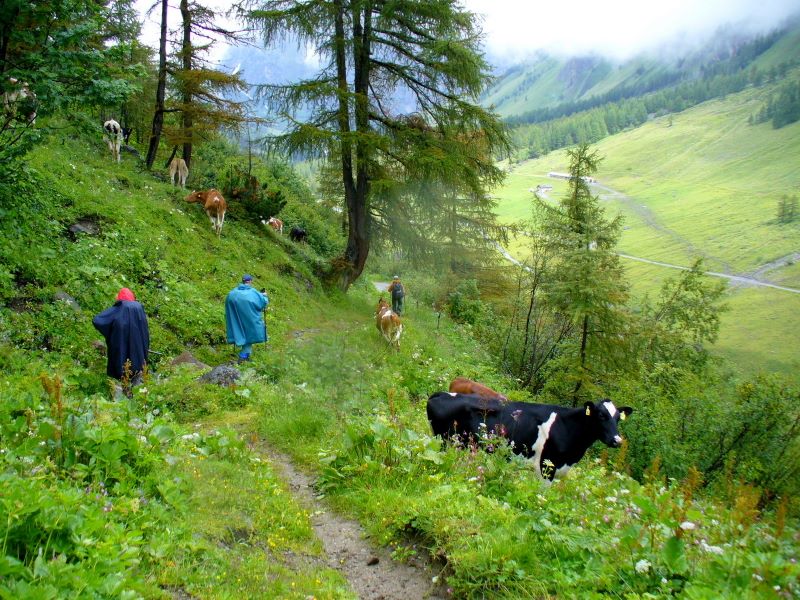 p1030744.jpg (large)