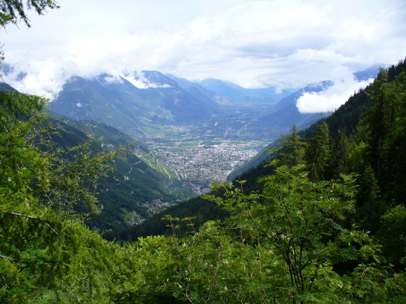 p1030760.jpg (large)