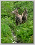 juillet_2007_039.jpg