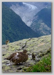 juillet_2007_049.jpg