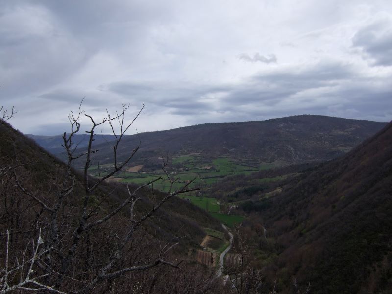 p0110g1835.jpg (large)