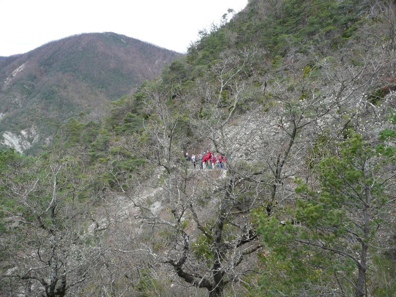 p0190j144.jpg (large)
