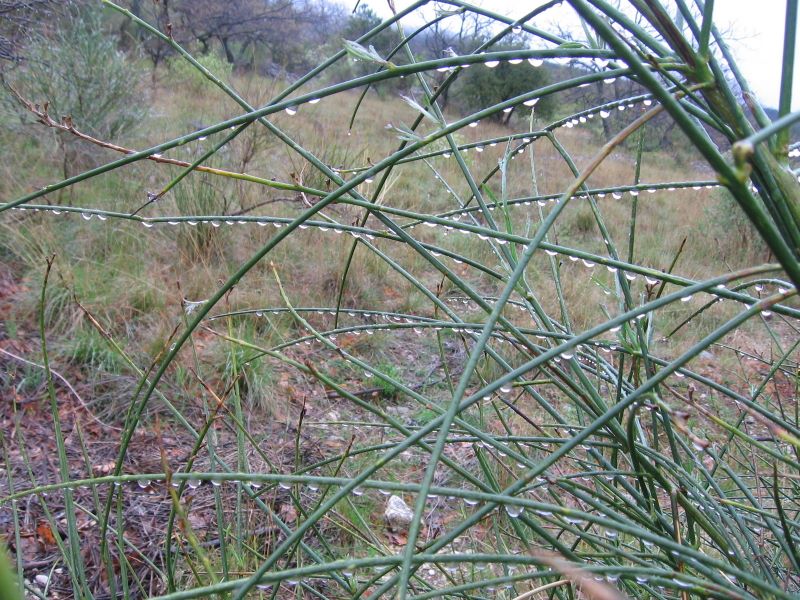 p0220x6002.jpg (large)