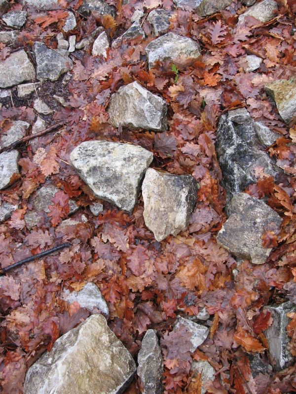 p0230x6003.jpg (large)