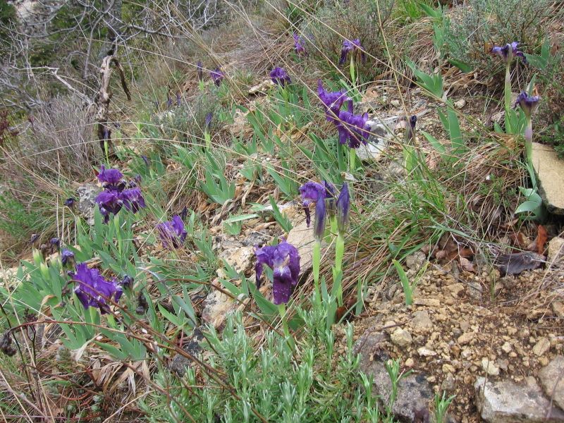 p0270x6008.jpg (large)