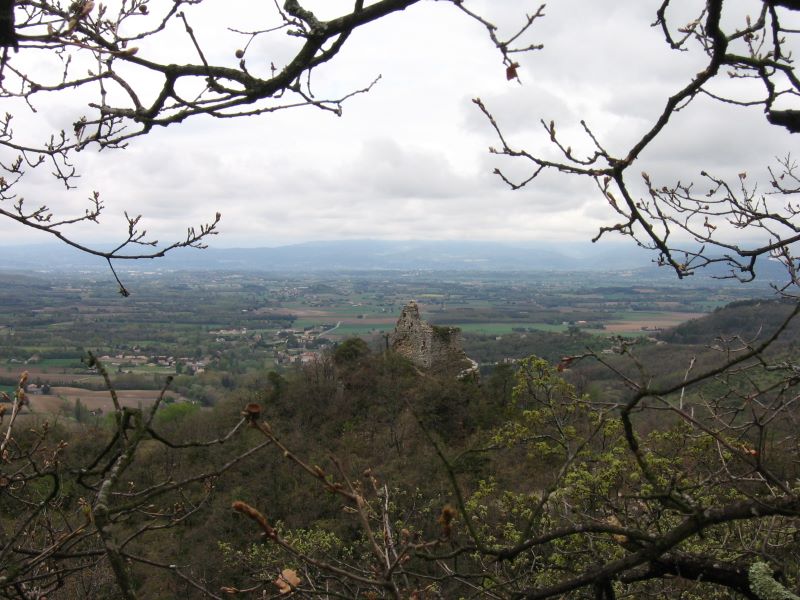 p0320x6013.jpg (large)