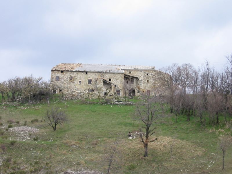 p0410x6019.jpg (large)